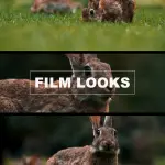 BMPCC 4K and 6K LUTs: 5 Cinematic Color Grading Presets + ALL Sony S-Log LUTs Pack
