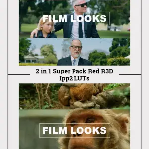 Cinematic LUTs: RED IPP2 Workflow, Color Grading (Digital Download)