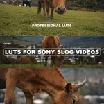 Cinematic LUTs Bundle – Sony S-Log3 & Blackmagic BMPCC 4K/6K